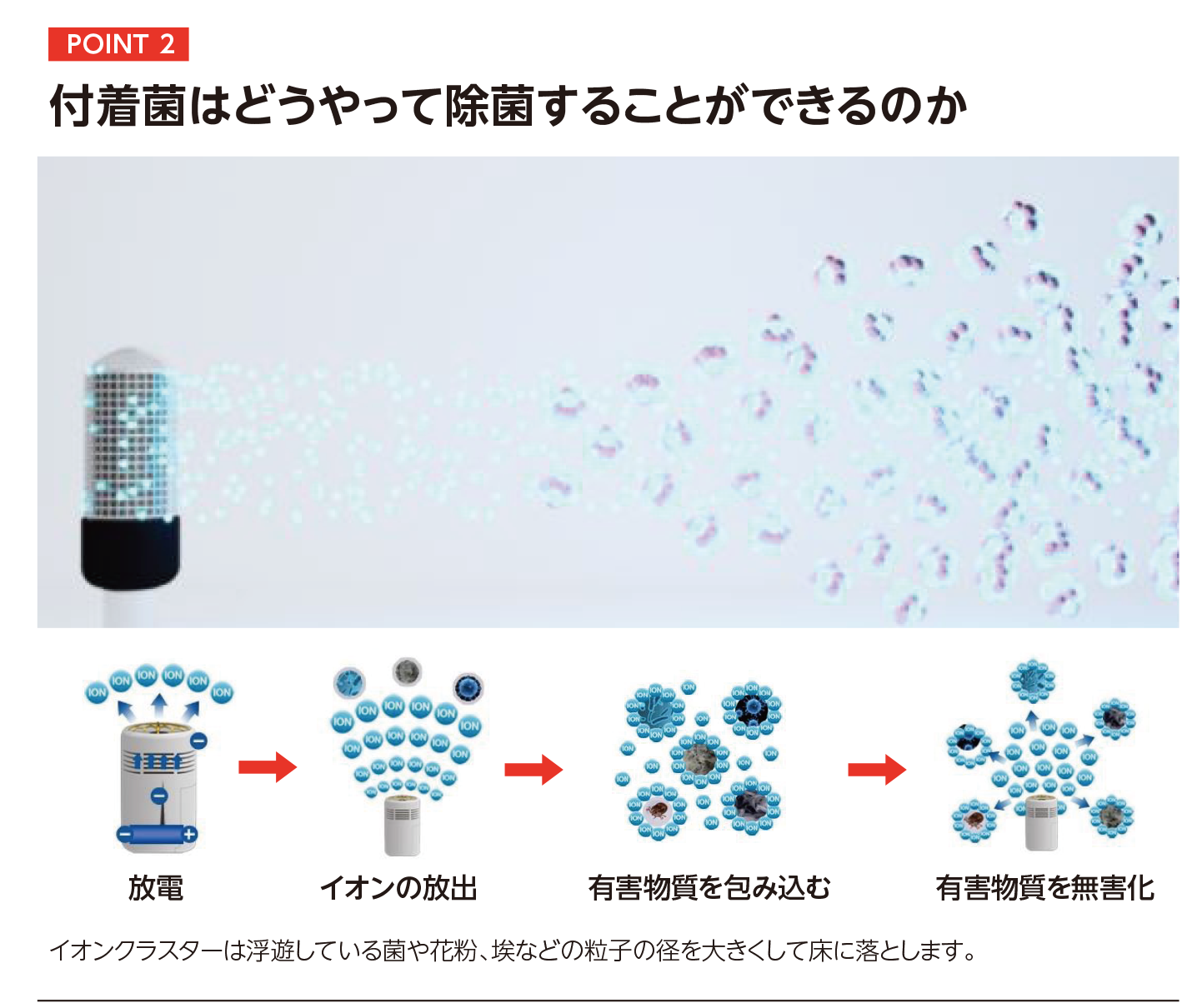 POINT 2│付着菌はどうやって除菌することができるのか